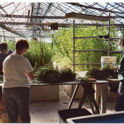 Battenfeld employees making wreaths