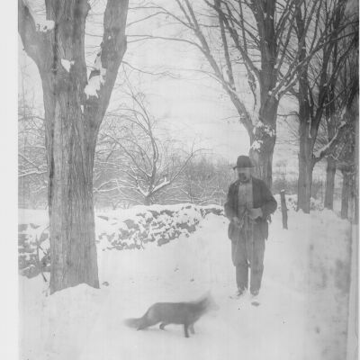 C. Feller & Fox