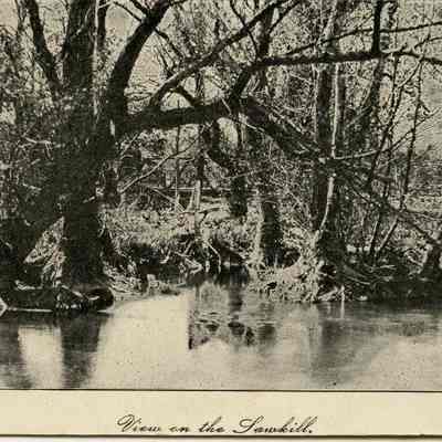 View on the Sawkill