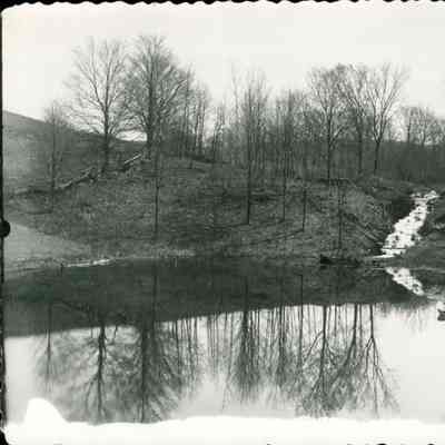 Meadowbrook Creek?