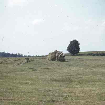 Hay Loader