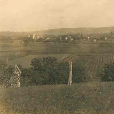 Fields in Annandale