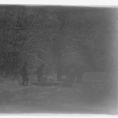 Pulling logs