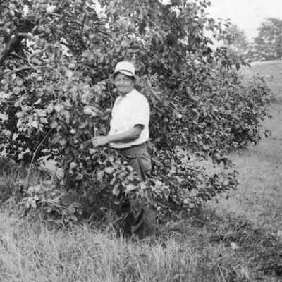 Henry Vogel at the Vogel Farm