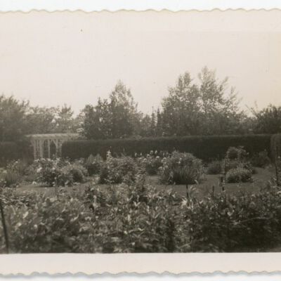 Ward Manor flower garden