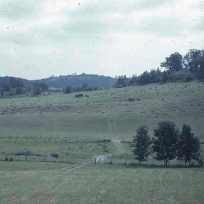 Pick-up Baling Operations
