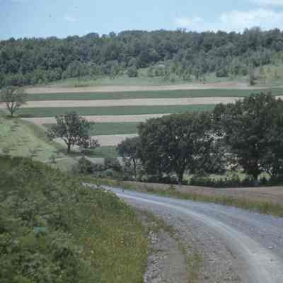 Valley Hedge Contours