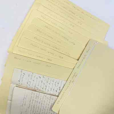 Edwin S. Curtis letters