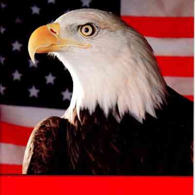 1994 Dimensions - Linden Ave. Yearbook