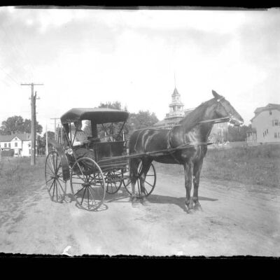 Horse, buggy, and lady (Location unknown)