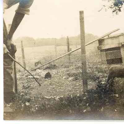 Mead farmstead with pigs and chickens