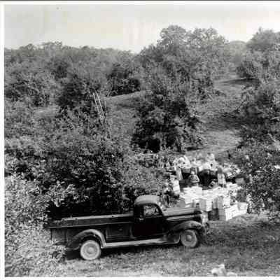 Montgomery Place Orchards workers, 1944