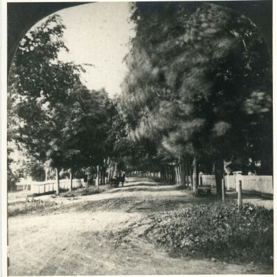North Street, Red Hook, 1878
