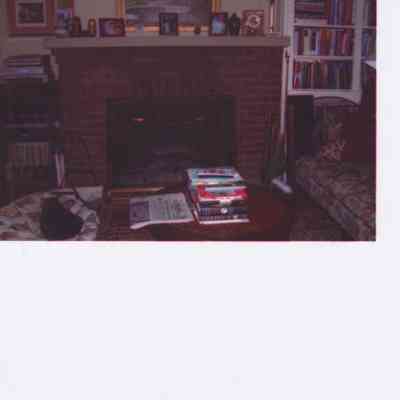 Fireplace inside the Petrus Hoffman House