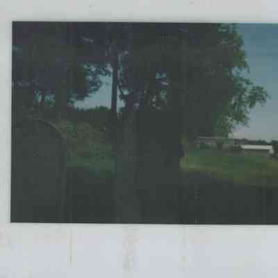 Anna Bishop, Polaroid of Grave Site