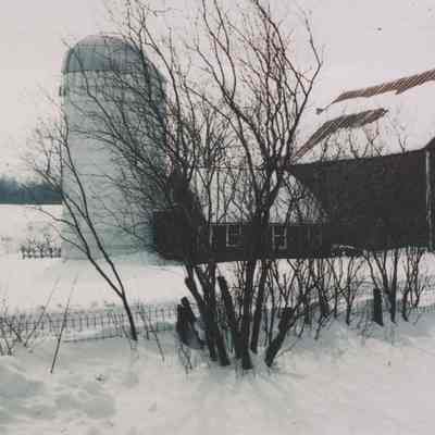 Teator barn in snow