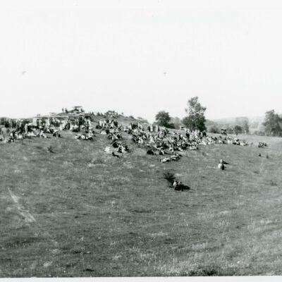 Community Pageant - Upper Red Hook - Saulpaugh Hill