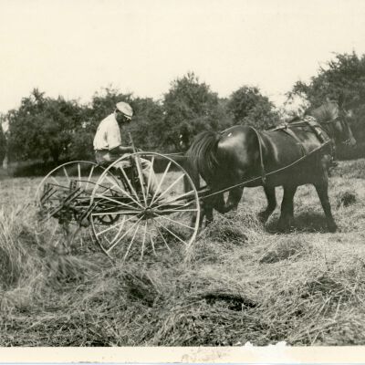 Turning hay 1920