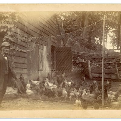 I. Snyder with chickens