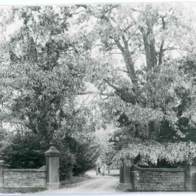Horse and buggy in driveway of river estate (Massena?)