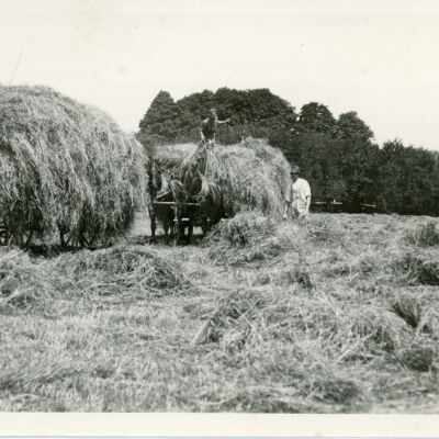 Haying 1920