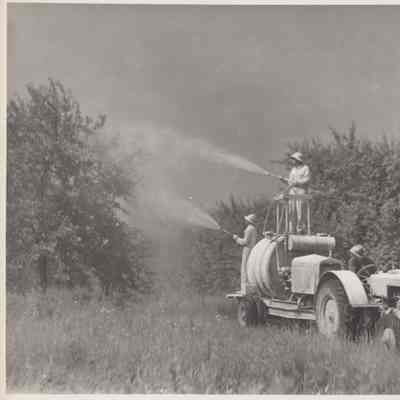 Losee Orchards, spraying