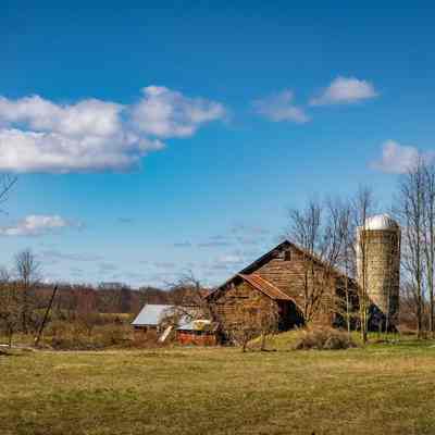 Barn and Silo - Pitcher Lane - 2017