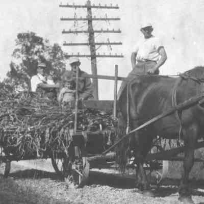 1928 Horse-drawn Wagon at Vogel Farm