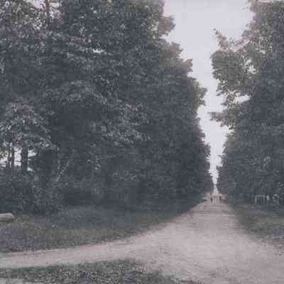Linden Ave (unpaved) in Red Hook, NY