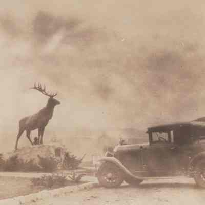 Auto parked in mountain lot with statue of reindeer