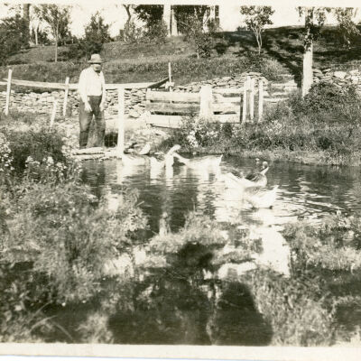 Minkler farm