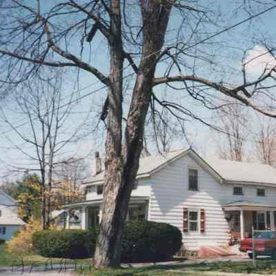 25 Prince Street - 1999