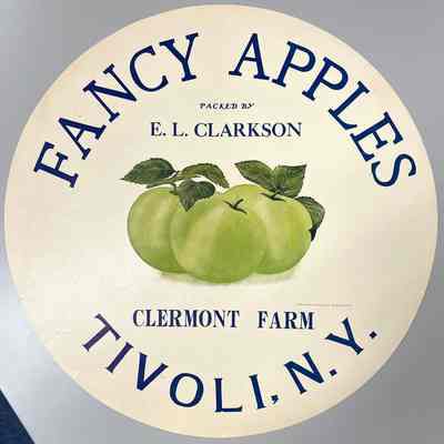 Apple Barrel Head Graphic