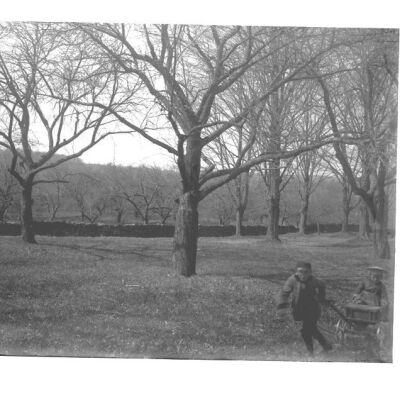 Roscoe Teator pulling his sister Marion in a wagon