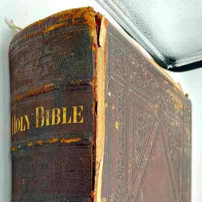 Elseffer Family Bible, 1872