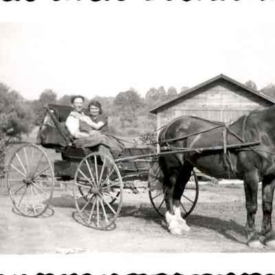 Man and woman on horse-drawn cart