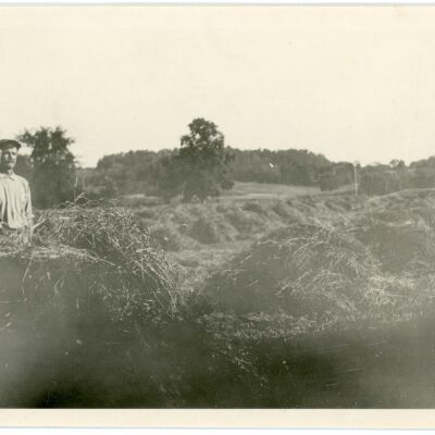 Man in hay field