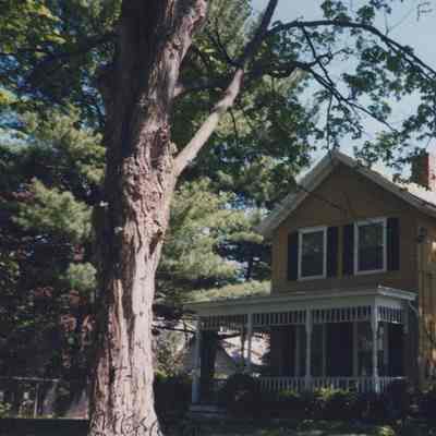 5 Fisk Street - 1999