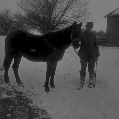 Man holding horse on W.S. Teator Farm