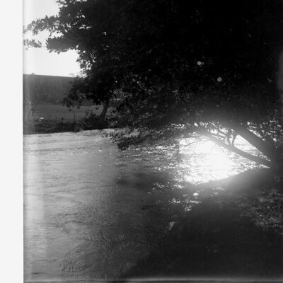 View of creek