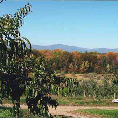 View of Mead Orchards