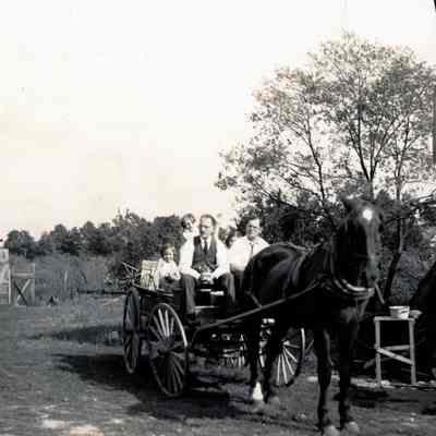 Jack O'Neill in Horse Cart