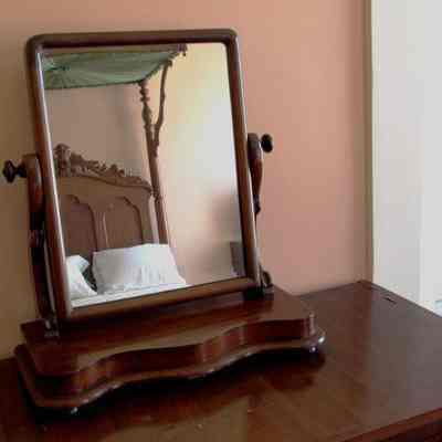 Shaving Mirror