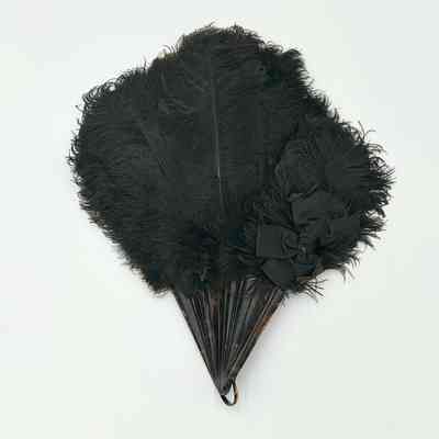 Black Ostrich Fan