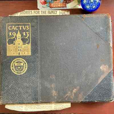 Yearbook, 1913 University of Texas Cactus