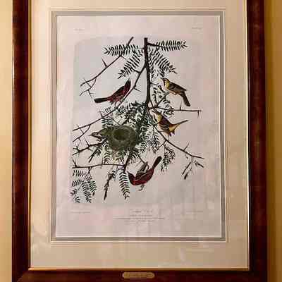 Audubon Chromolithography "Orchard Oriole"