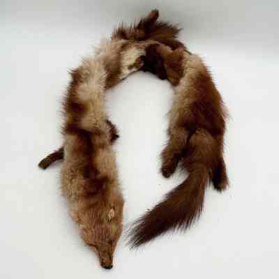 Fur Scarf/Stole