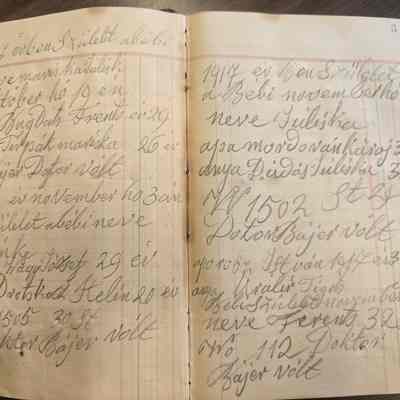Susie Krajnyik's Midwife Ledgerbook