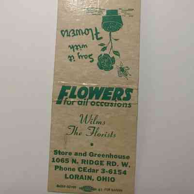 Wilms The Florists