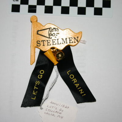 Pin